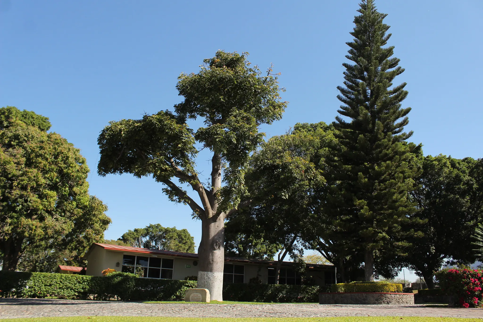Campus El Peñón